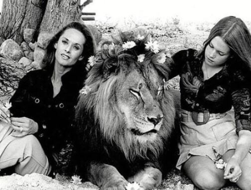 Alexander Bauer mother Melanie Griffith with her mom Tippi Hedren.